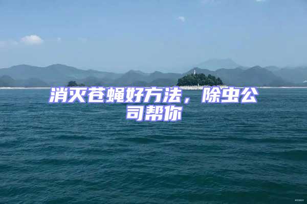 消滅蒼蠅好方法，除蟲公司幫你