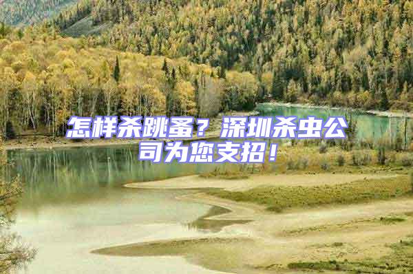 怎樣殺跳蚤？深圳殺蟲(chóng)公司為您支招！