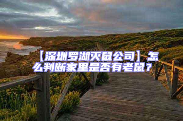 【深圳羅湖滅鼠公司】怎么判斷家里是否有老鼠？