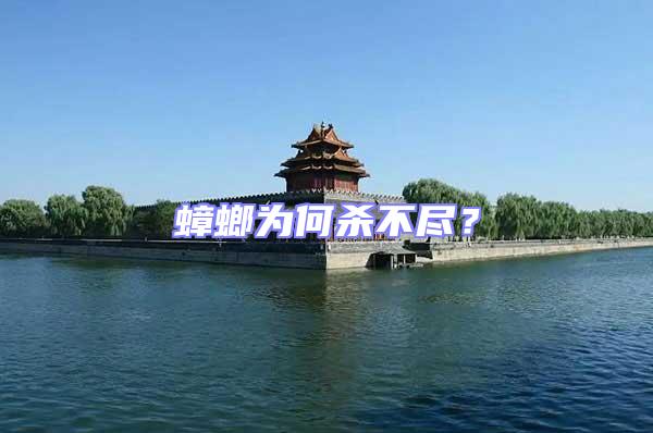 蟑螂為何殺不盡？