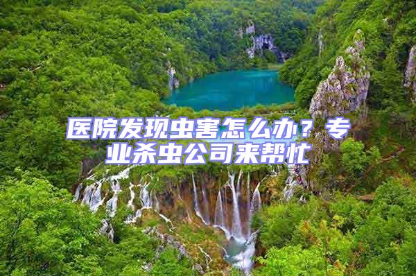 醫(yī)院發(fā)現(xiàn)蟲(chóng)害怎么辦？專業(yè)殺蟲(chóng)公司來(lái)幫忙