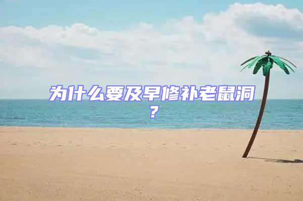 為什么要及早修補老鼠洞？