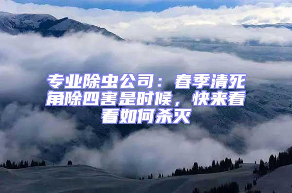 專業(yè)除蟲公司：春季清死角除四害是時候，快來看看如何殺滅