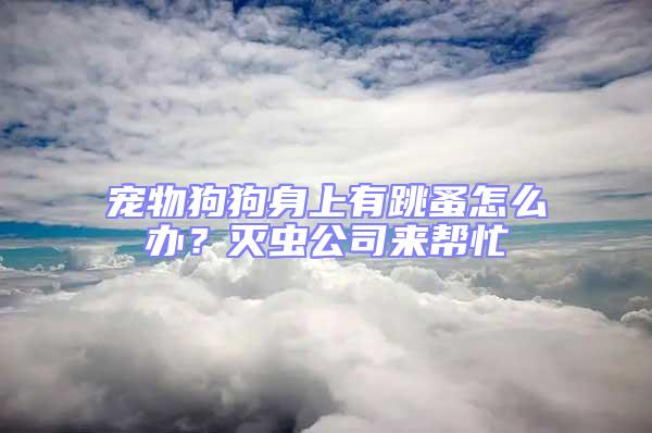 寵物狗狗身上有跳蚤怎么辦？滅蟲公司來幫忙
