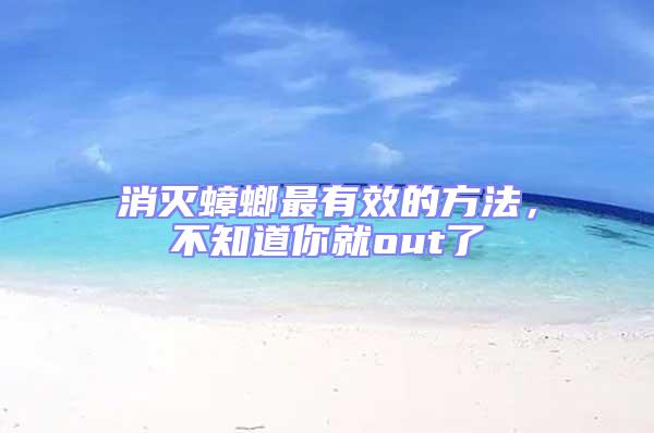 消滅蟑螂最有效的方法，不知道你就out了