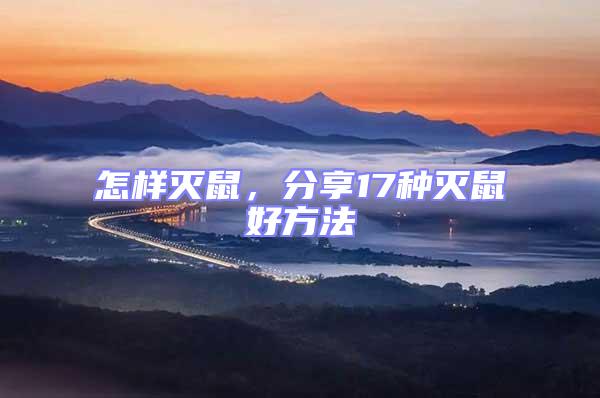 怎樣滅鼠，分享17種滅鼠好方法