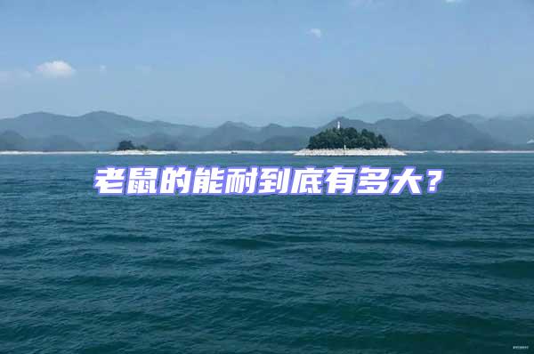 老鼠的能耐到底有多大？