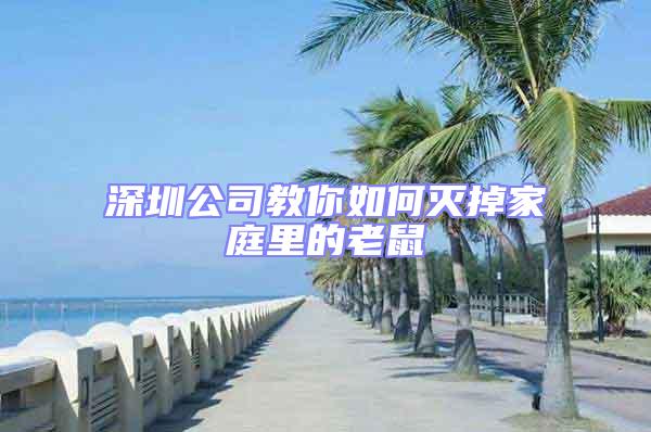 深圳公司教你如何滅掉家庭里的老鼠