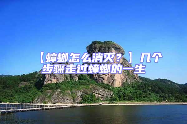 【蟑螂怎么消滅？】幾個(gè)步驟走過(guò)蟑螂的一生