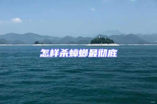 怎樣殺蟑螂最徹底