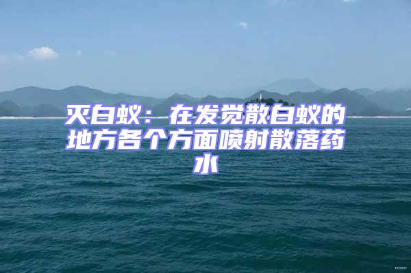 滅白蟻：在發(fā)覺散白蟻的地方各個方面噴射散落藥水