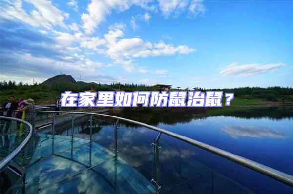 在家里如何防鼠治鼠？