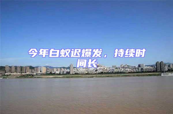 今年白蟻遲爆發(fā)，持續(xù)時(shí)間長