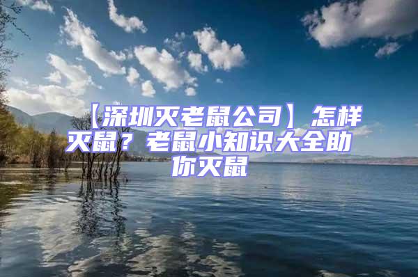 【深圳滅老鼠公司】怎樣滅鼠？老鼠小知識大全助你滅鼠