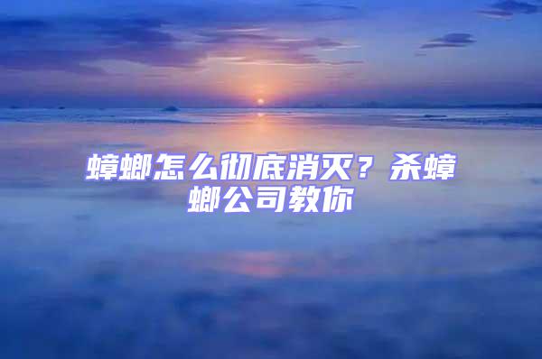 蟑螂怎么徹底消滅？殺蟑螂公司教你