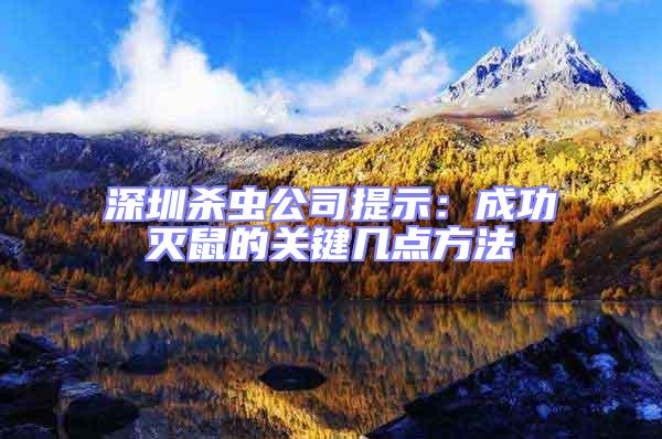 深圳殺蟲公司提示：成功滅鼠的關(guān)鍵幾點方法