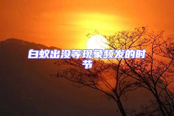 白蟻出沒等現(xiàn)象頻發(fā)的時(shí)節(jié)