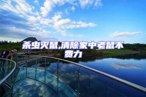 殺蟲(chóng)滅鼠,清除家中老鼠不費(fèi)力