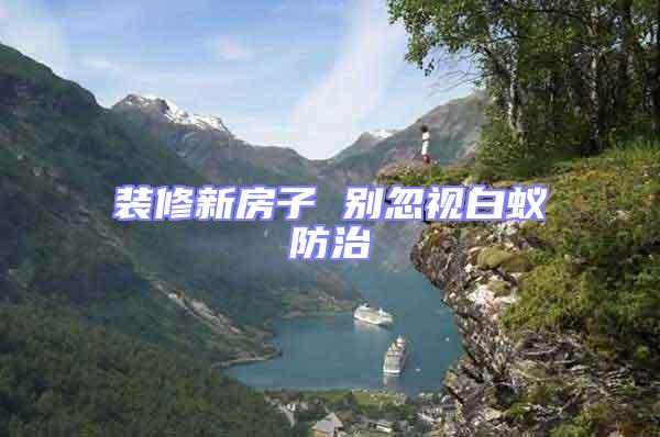 裝修新房子 別忽視白蟻防治