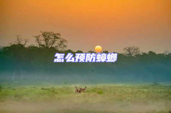 怎么預(yù)防蟑螂