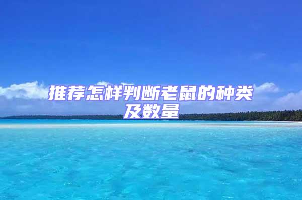 推薦怎樣判斷老鼠的種類(lèi)及數(shù)量