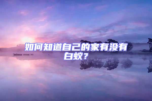 如何知道自己的家有沒有白蟻？