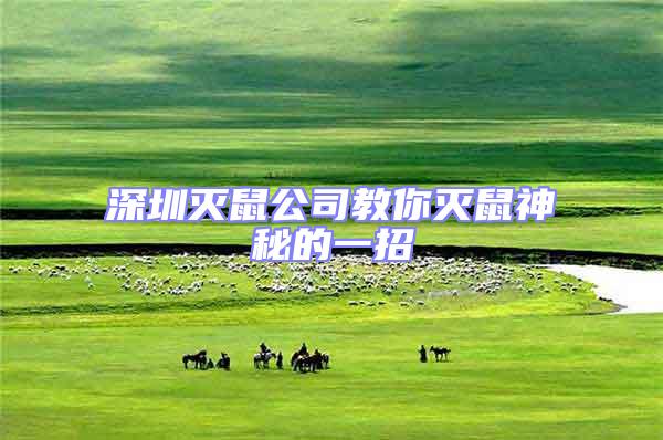 深圳滅鼠公司教你滅鼠神秘的一招