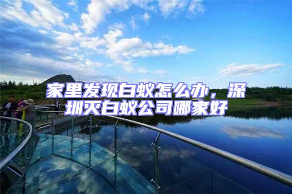 家里發(fā)現(xiàn)白蟻怎么辦，深圳滅白蟻公司哪家好