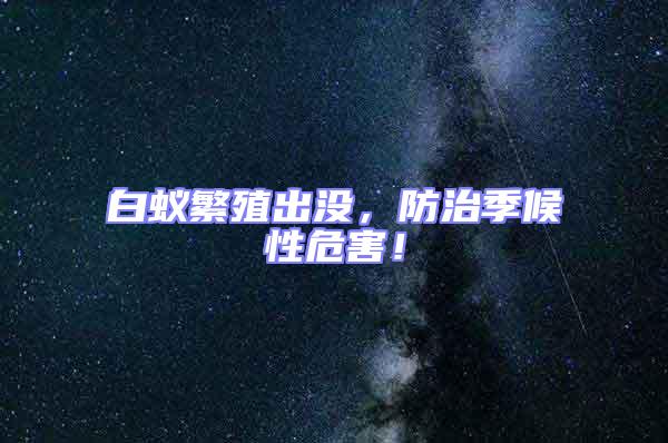 白蟻繁殖出沒，防治季候性危害！