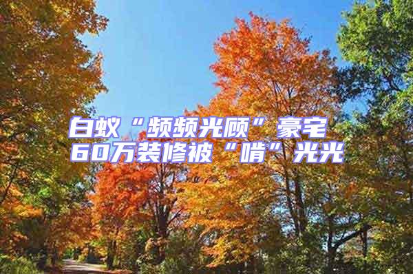 白蟻“頻頻光顧”豪宅 60萬(wàn)裝修被“啃”光光