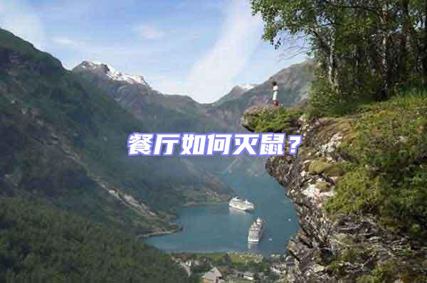 餐廳如何滅鼠？