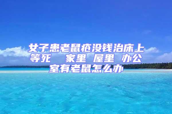 女子患老鼠瘡沒(méi)錢(qián)治床上等死  家里 屋里 辦公室有老鼠怎么辦