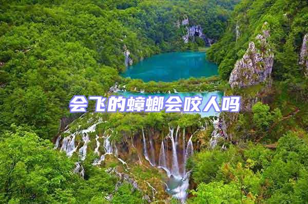 會(huì)飛的蟑螂會(huì)咬人嗎