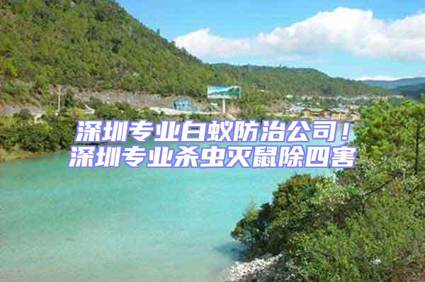 深圳專業(yè)白蟻防治公司！深圳專業(yè)殺蟲滅鼠除四害