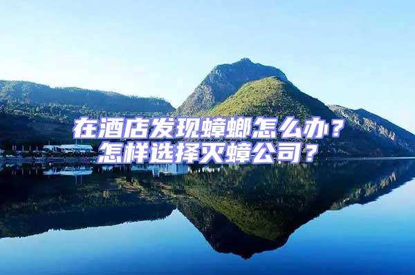 在酒店發(fā)現(xiàn)蟑螂怎么辦？怎樣選擇滅蟑公司？