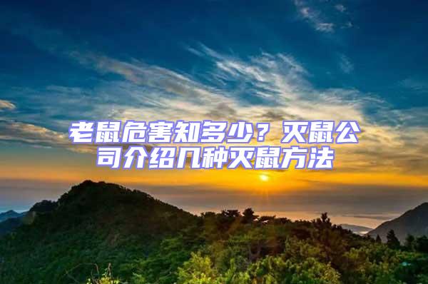 老鼠危害知多少？滅鼠公司介紹幾種滅鼠方法