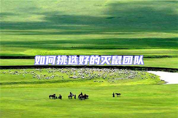 如何挑選好的滅鼠團(tuán)隊(duì)