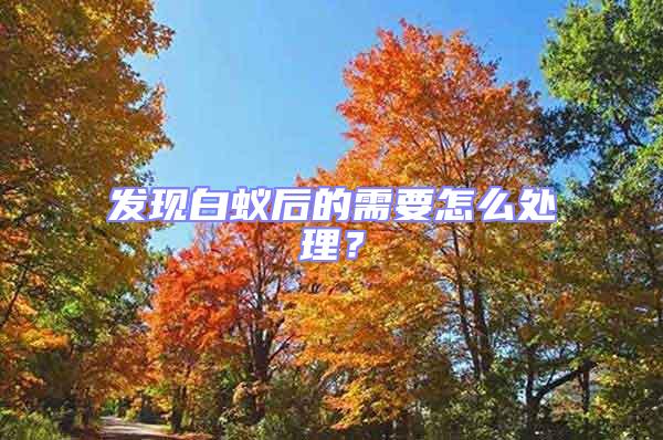 發(fā)現(xiàn)白蟻后的需要怎么處理？
