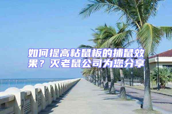 如何提高粘鼠板的捕鼠效果？滅老鼠公司為您分享