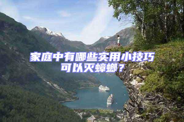 家庭中有哪些實(shí)用小技巧可以滅蟑螂？