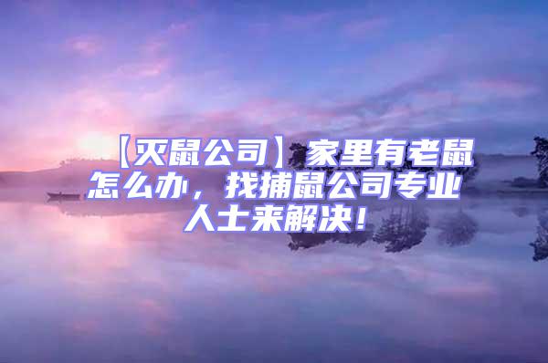 【滅鼠公司】家里有老鼠怎么辦，找捕鼠公司專業(yè)人士來解決！