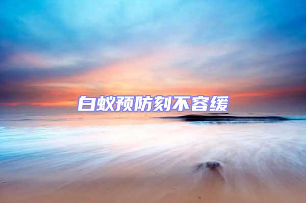 白蟻預防刻不容緩