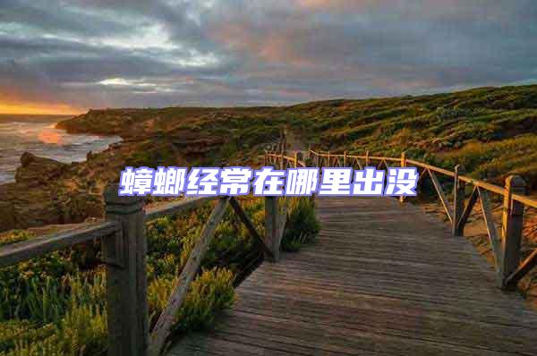 蟑螂經(jīng)常在哪里出沒(méi)