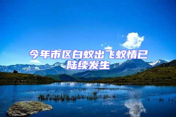 今年市區(qū)白蟻出飛蟻情已陸續(xù)發(fā)生