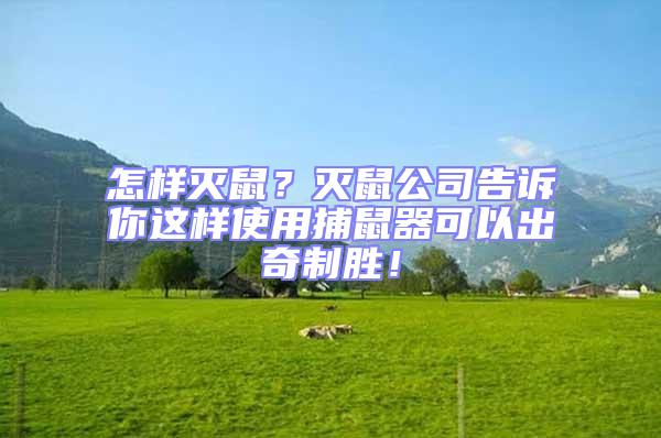 怎樣滅鼠？滅鼠公司告訴你這樣使用捕鼠器可以出奇制勝！