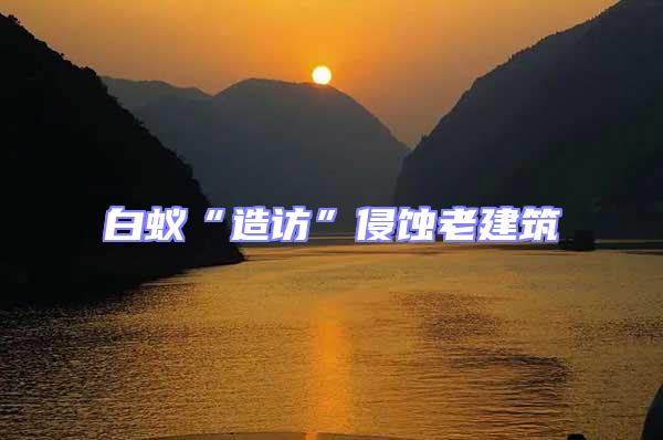 白蟻“造訪”侵蝕老建筑