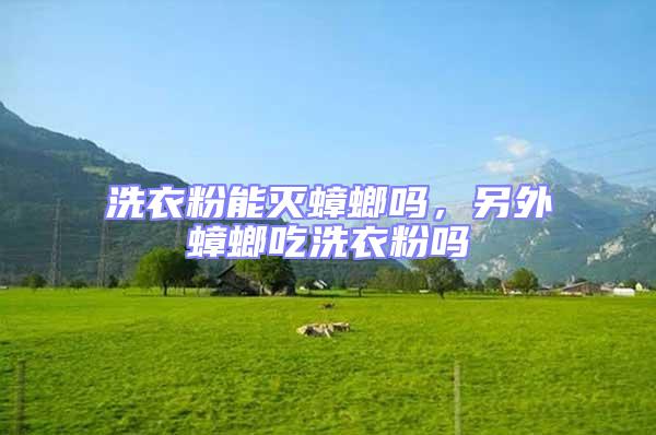 洗衣粉能滅蟑螂嗎，另外蟑螂吃洗衣粉嗎