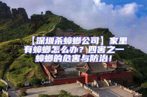 【深圳殺蟑螂公司】家里有蟑螂怎么辦？四害之一蟑螂的危害與防治！