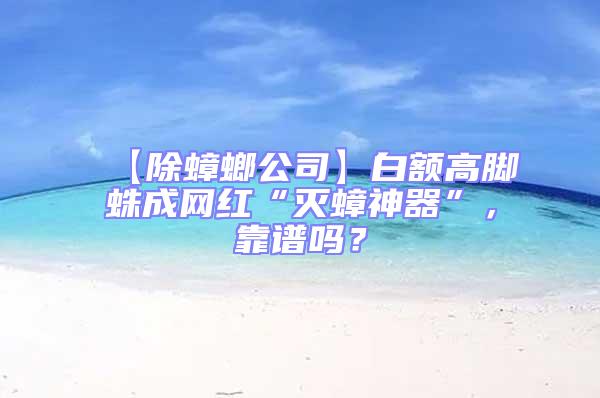 【除蟑螂公司】白額高腳蛛成網(wǎng)紅“滅蟑神器”，靠譜嗎？