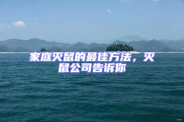 家庭滅鼠的最佳方法，滅鼠公司告訴你